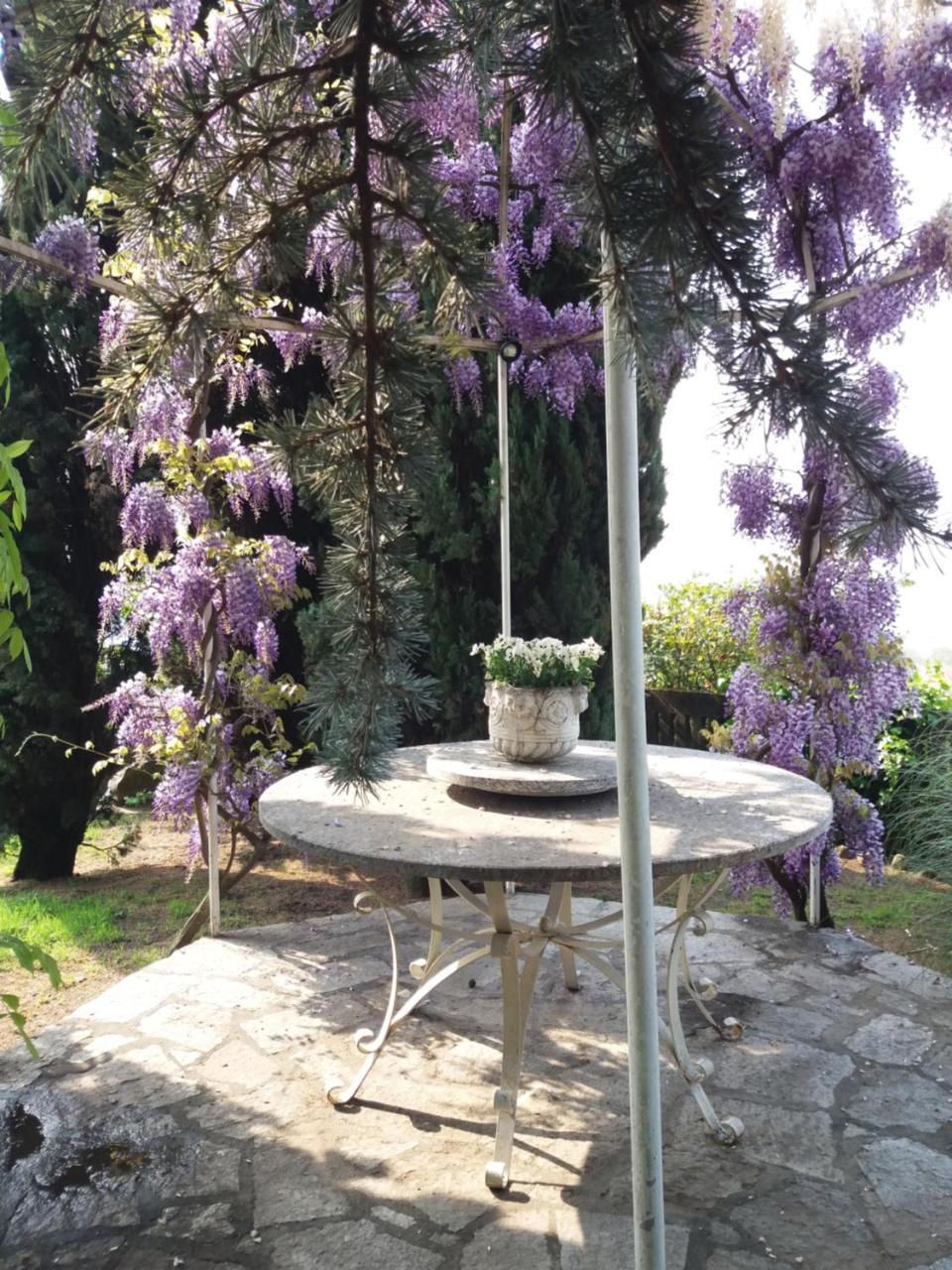 Novecento B&B Bollengo Esterno foto