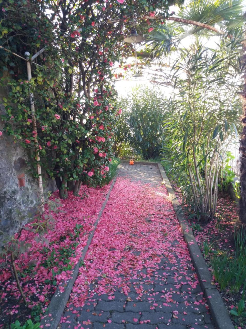 Novecento B&B Bollengo Esterno foto
